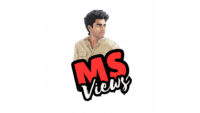 MS views logo